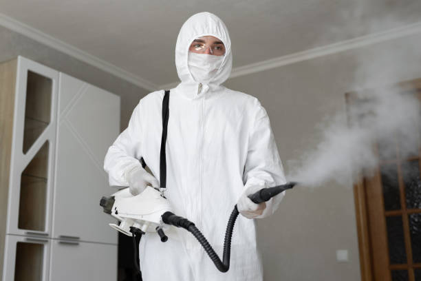 Why You Should Choose Our Mold Remediation Services in Oakley, KS